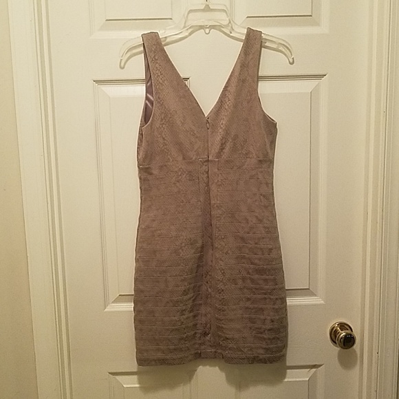 Express Dress - Picture 3 of 6